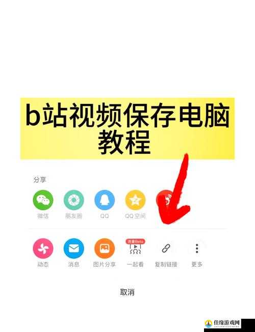 如何免费观看 BILIBILI 私人直播间：畅享精彩内容